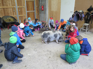 Zu Besuch im Stadstall